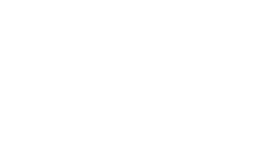 H&S Peanuts Depot
