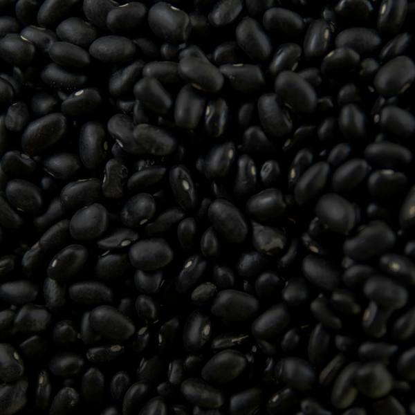 Black bean