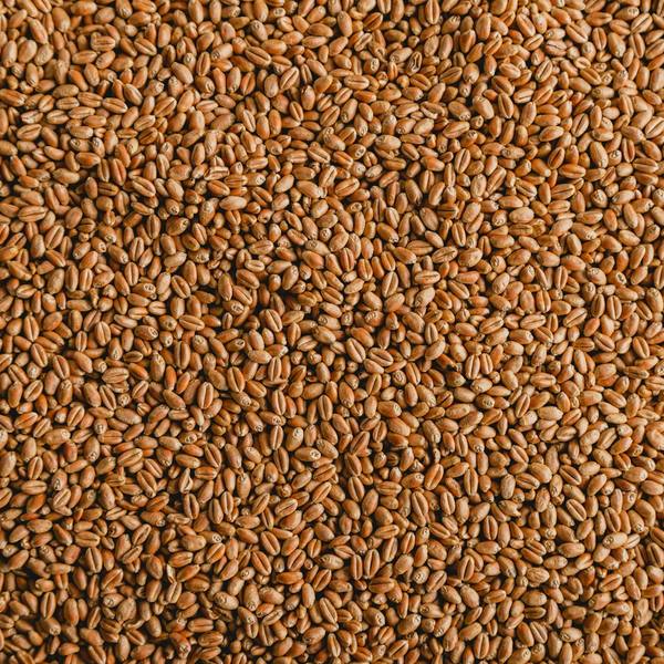 Flax seeds