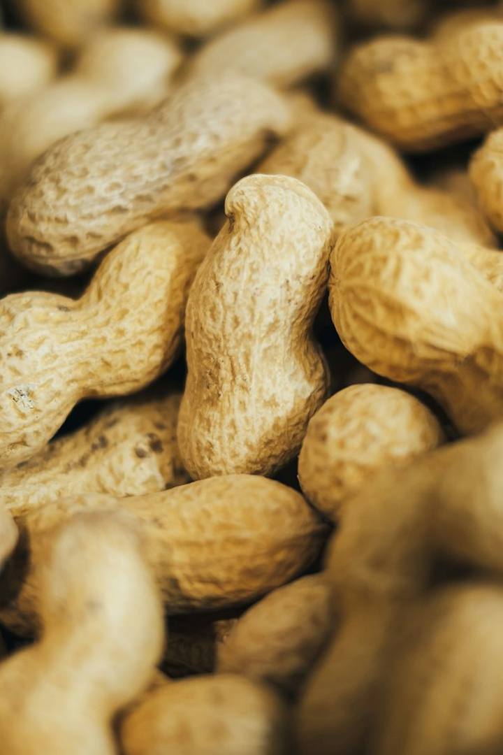 Peanuts in the shell
