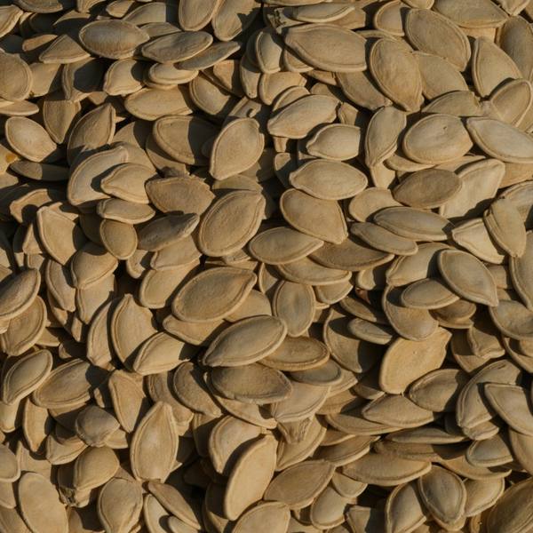 Pumpkin seeds