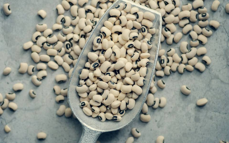 Beans in a metal scoop