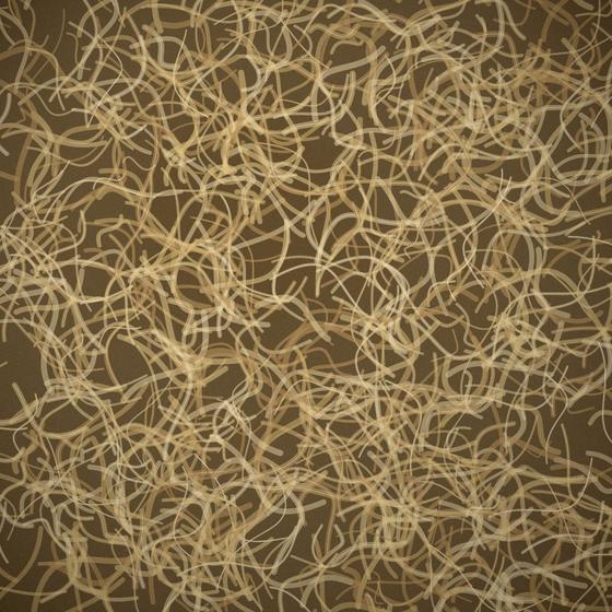 Sea moss