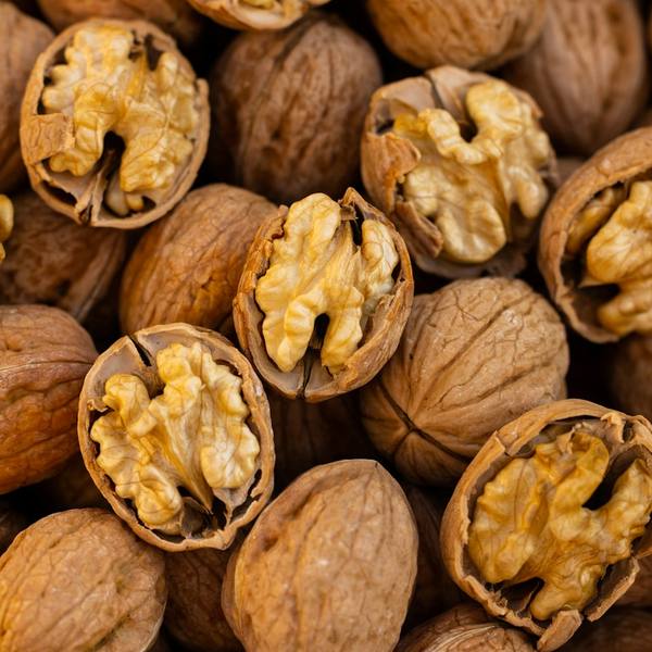 Walnut